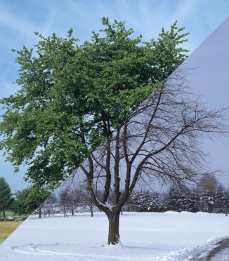Bettwäsche nach Saison: Was passt im Winter & Sommer