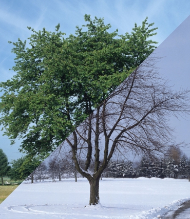 Bettwäsche nach Saison: Was passt im Winter & Sommer