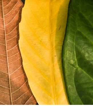 Beliebteste Farben für Bettwäsche